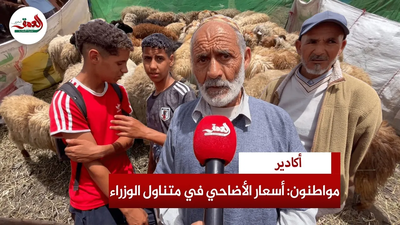 Agadir Residents Protest Soaring Prices of Sacrificial Animals: A Call for Change