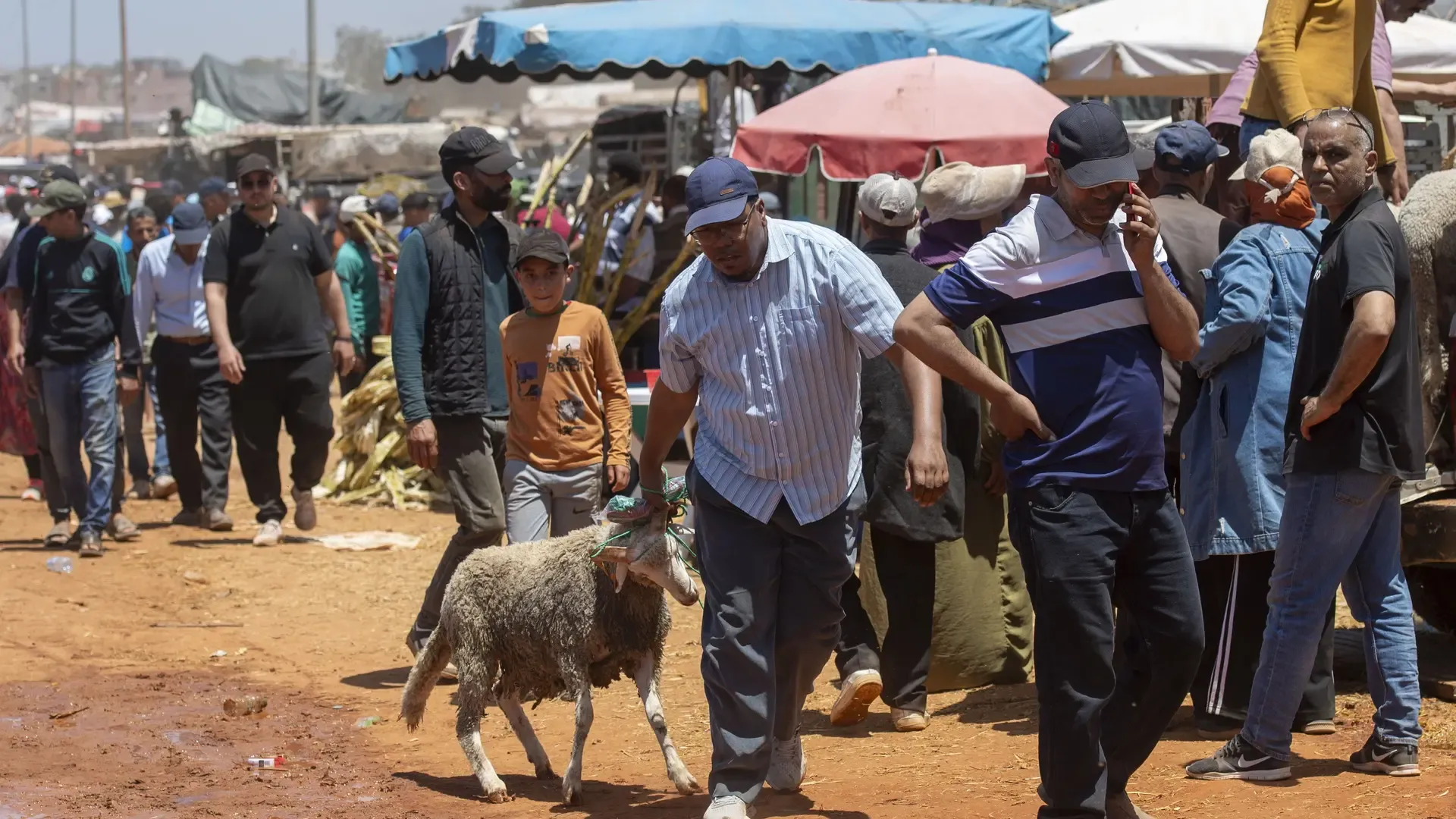 Morocco's Aid al-Adha Festival Returns: A Celebration of Tradition and Resilience