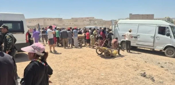 Stone Throwing Causes Chaos in Bensouda Livestock Market in Fez