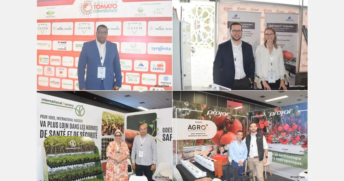 Insights and Challenges from the Sixth Morocco Tomato Conference