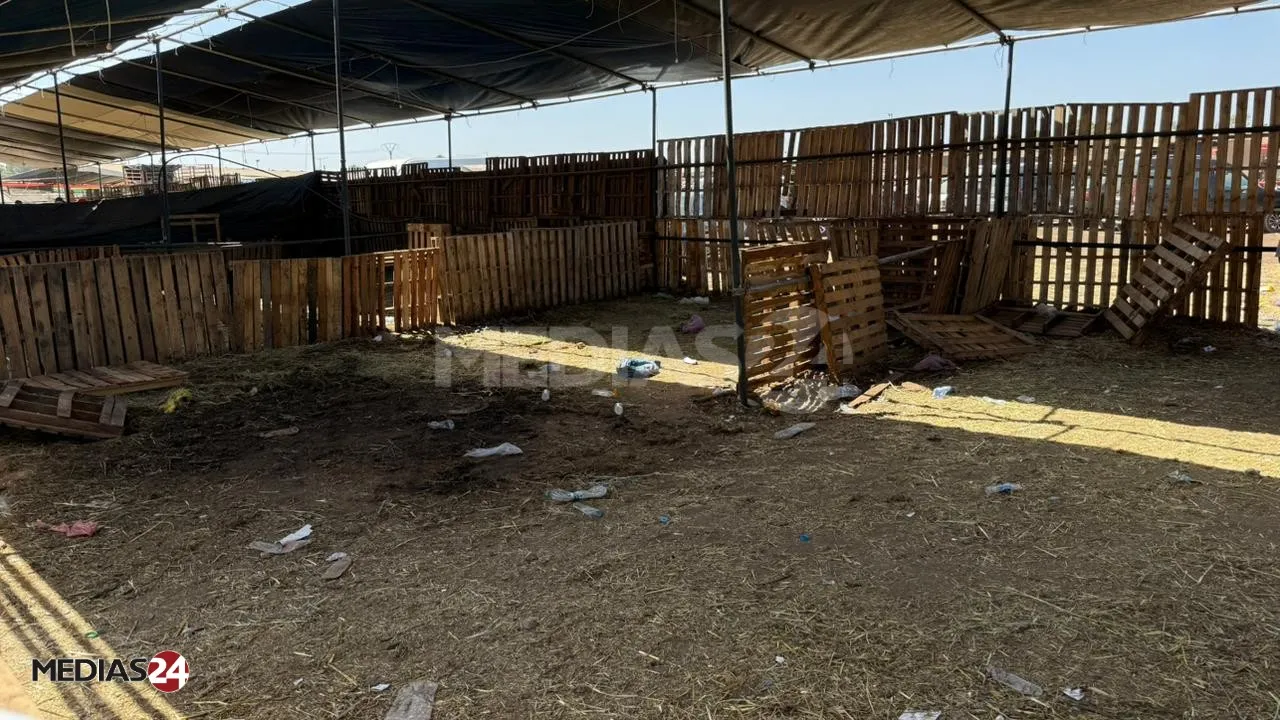 Sheep Shortage Causes Tensions in Casablanca Ahead of Eid al-Adha