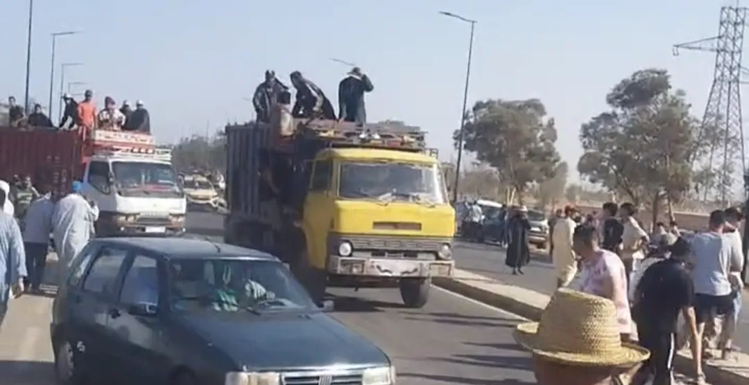 Market Chaos Erupts Over Skyrocketing Sheep Prices in Marrakech