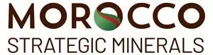 Morocco Strategic Minerals Corporation Sells Sakami Property to Visible Gold Mines