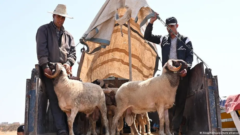 The Evolving Tradition of Eid al-Adha Among Morocco's Youth