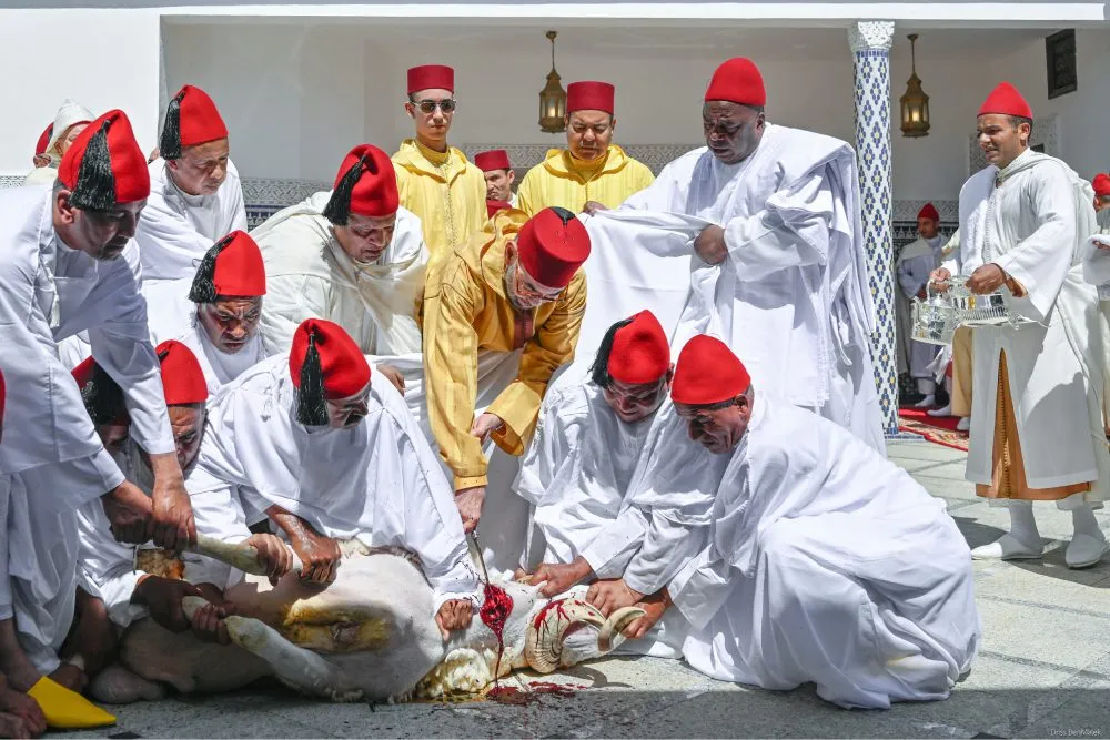 King Mohammed VI Leads Eid al-Adha Prayer at the Mosque of the People of Fes
