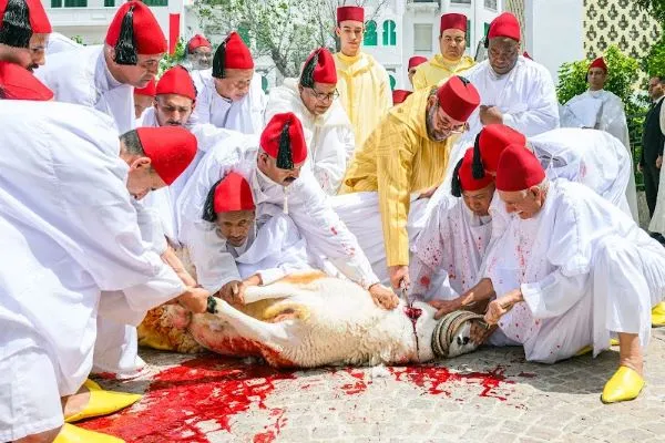King Mohammed VI Celebrates Eid al-Adha Prayer at the Mosque of Ahl Fes in Rabat