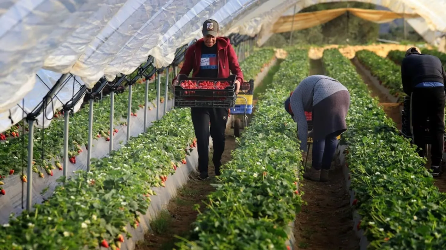 Wafira Project Expands Workforce Opportunities for Moroccan Workers in Spain and Beyond