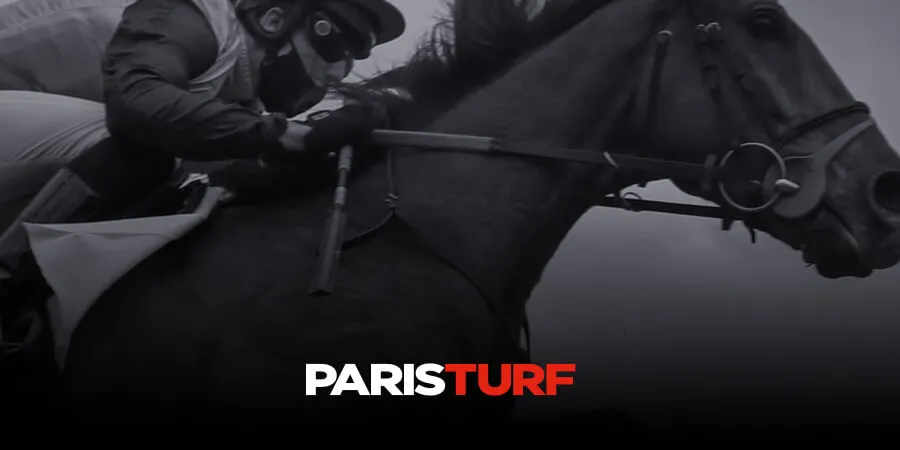 Comprehensive Overview of the Upcoming Horse Race at Casablanca