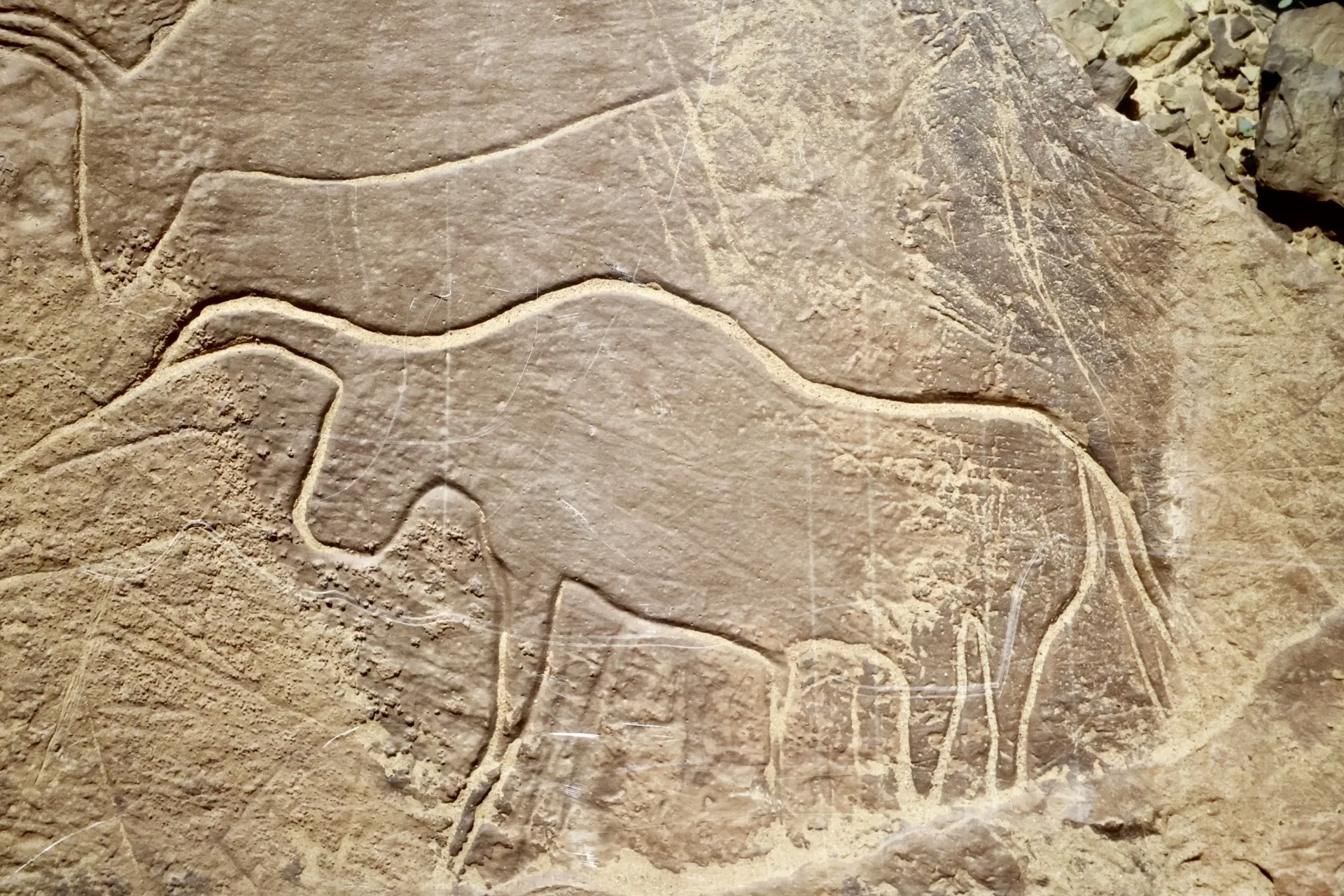 The Rich Heritage of the Smara Region: An Insight into Its Ancient Rock Art and Archaeological Sites