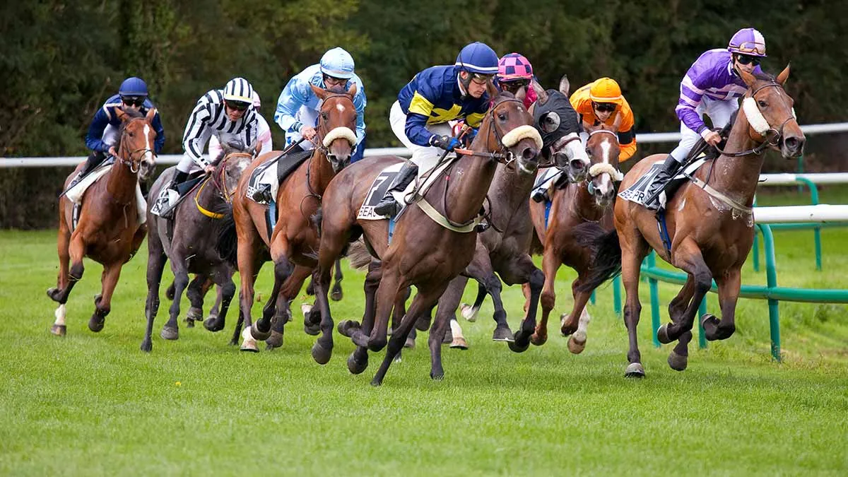 Insights and Predictions for the R2 Casablanca C4 Prix Oulad Hriz (Anglo-Arabes 25%)