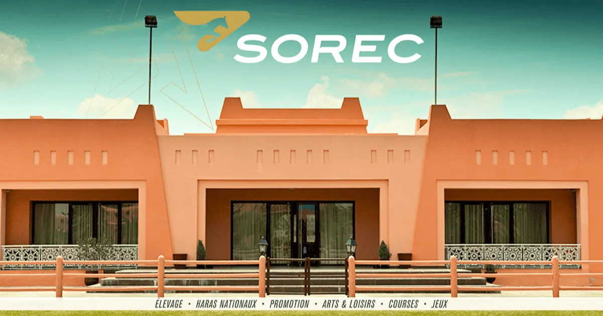 Exciting Job Opportunities at SOREC in Rabat: Join the Equine Sector